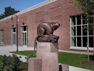 Babson Beaver
