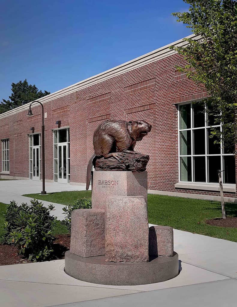 Babson Beaver