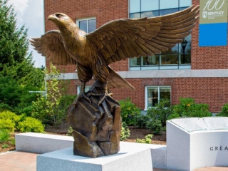 Bentley Falcon closeup