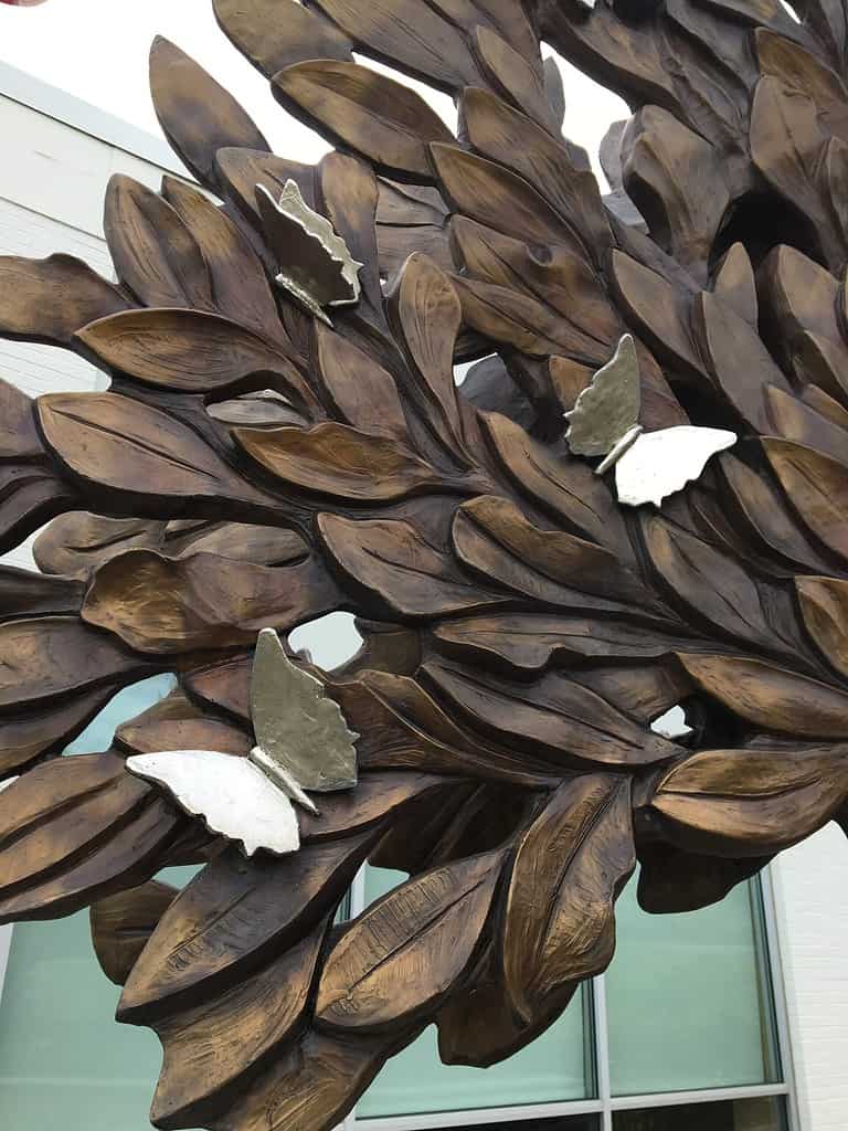 Gift of Life IMG_9706