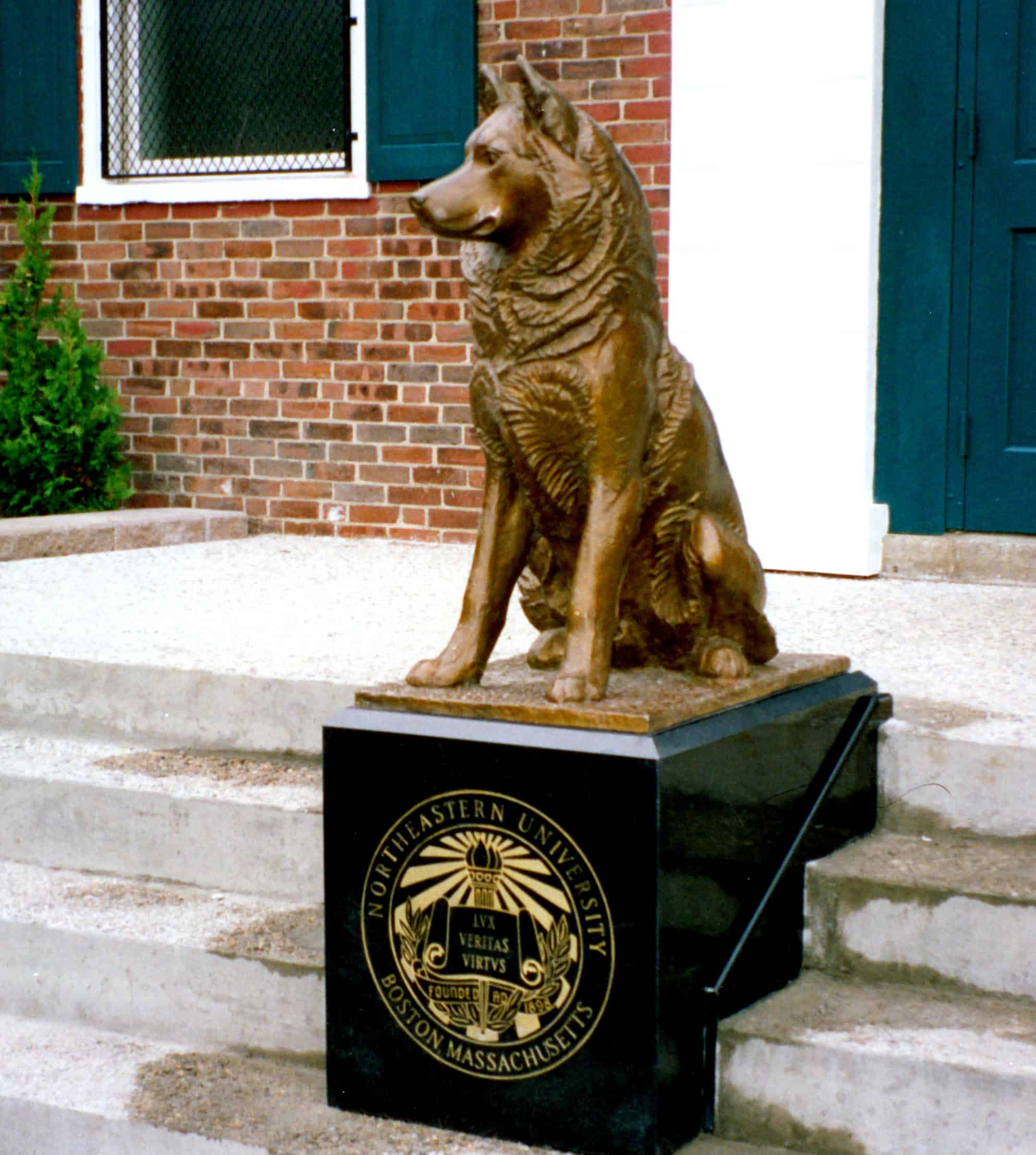 Northeastern University Husky Sculpture