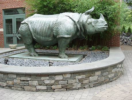 Rhino-P7190333-460x350.jpg?