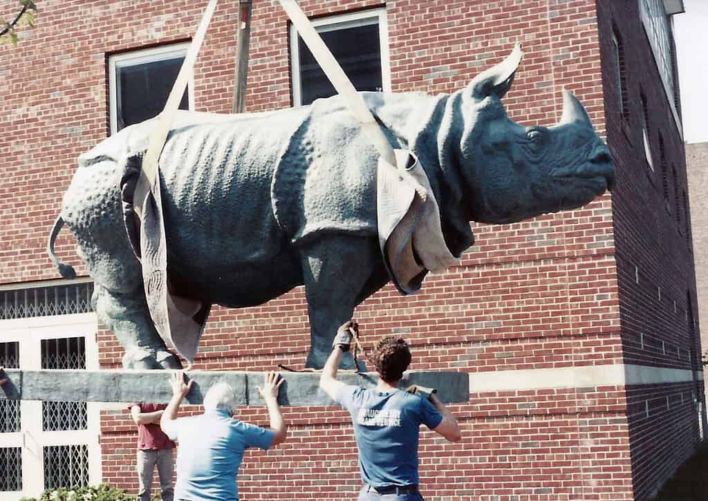 Rhino_install_edit