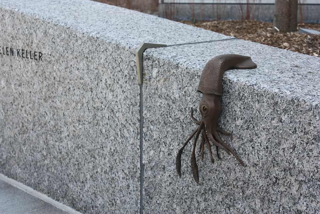 Tidal Stream IMG_9793