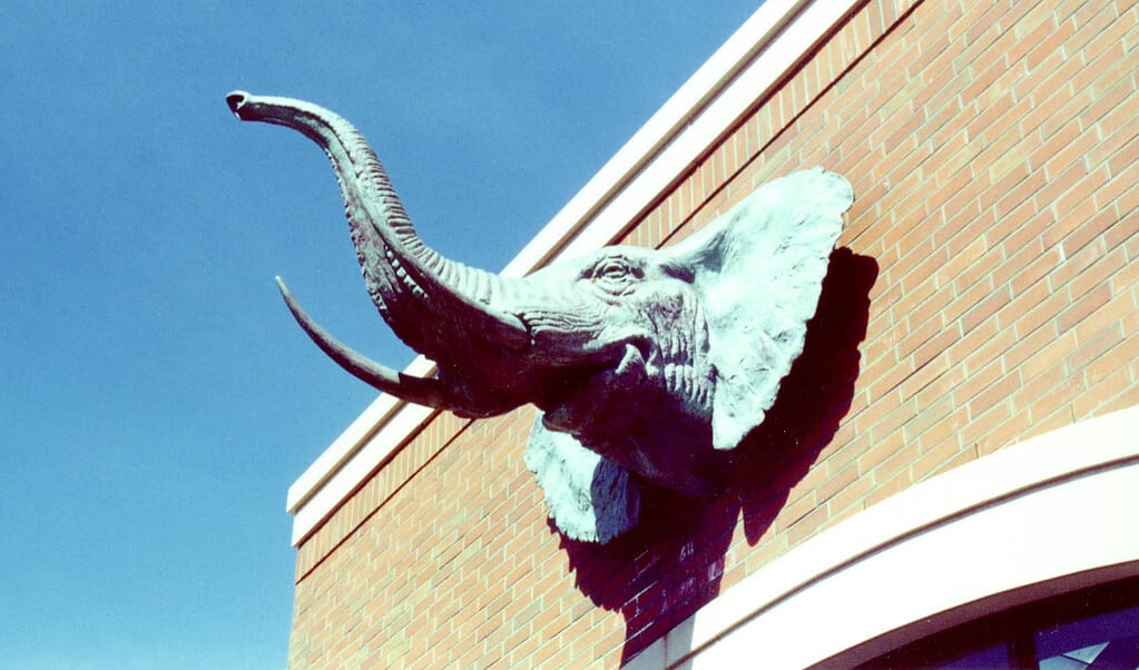 Tufts Univ Elephant2