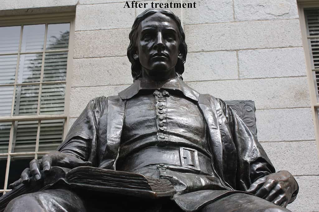 web-John-Harvard-AT-IMG_4753