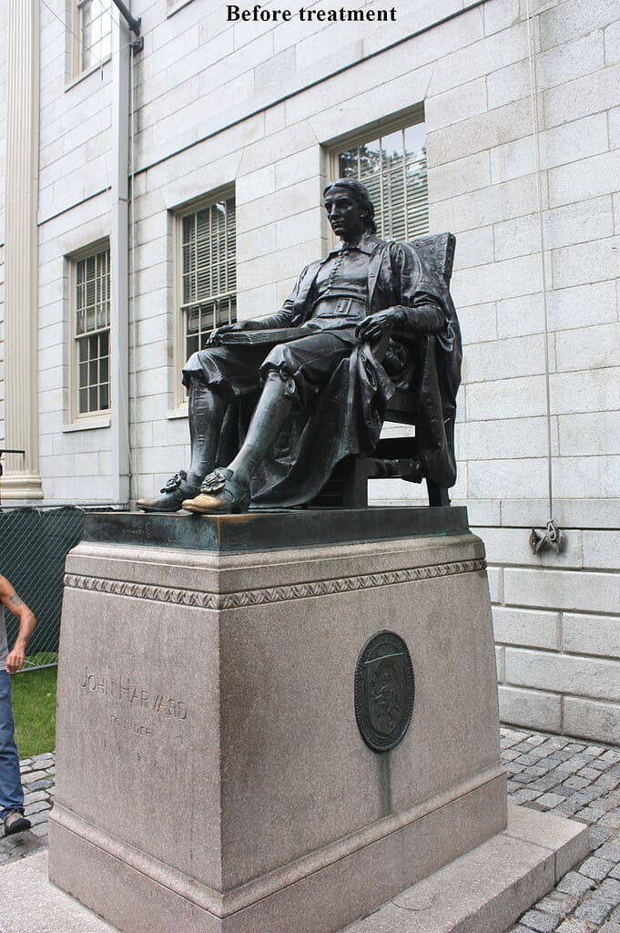 web-John-Harvard-BT-IMG_4445