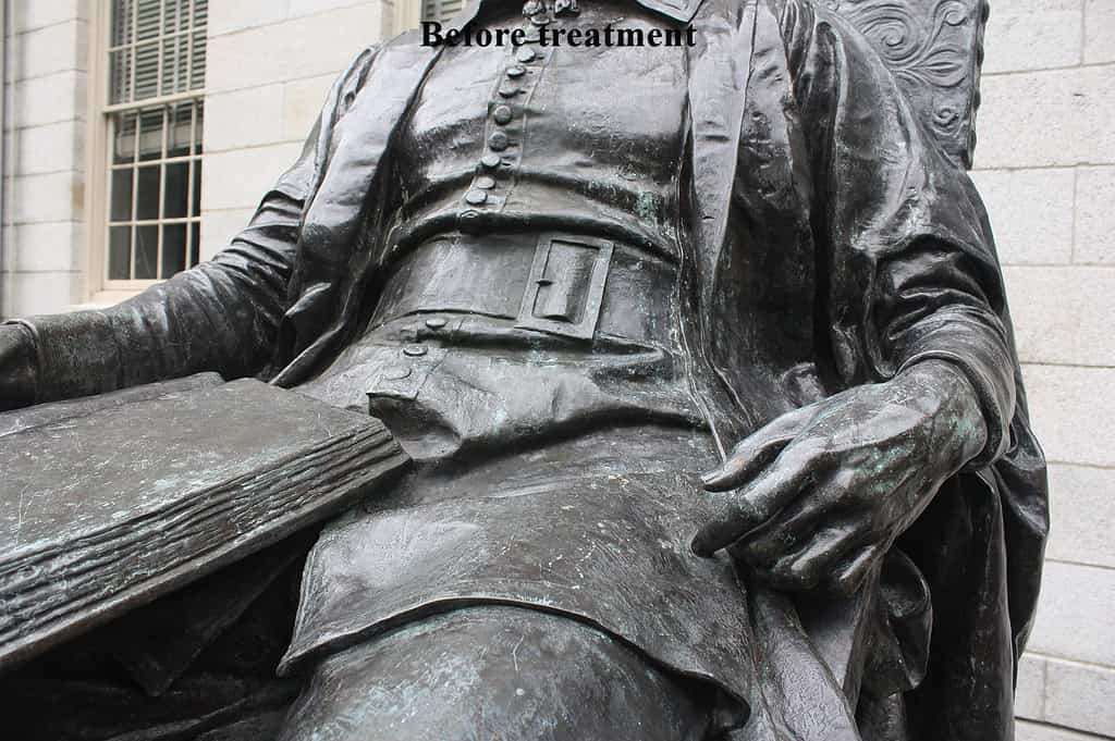 web-John-Harvard-BT-IMG_4482