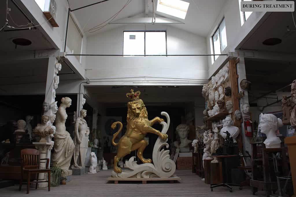 web-Lion-DT-IMG_5742