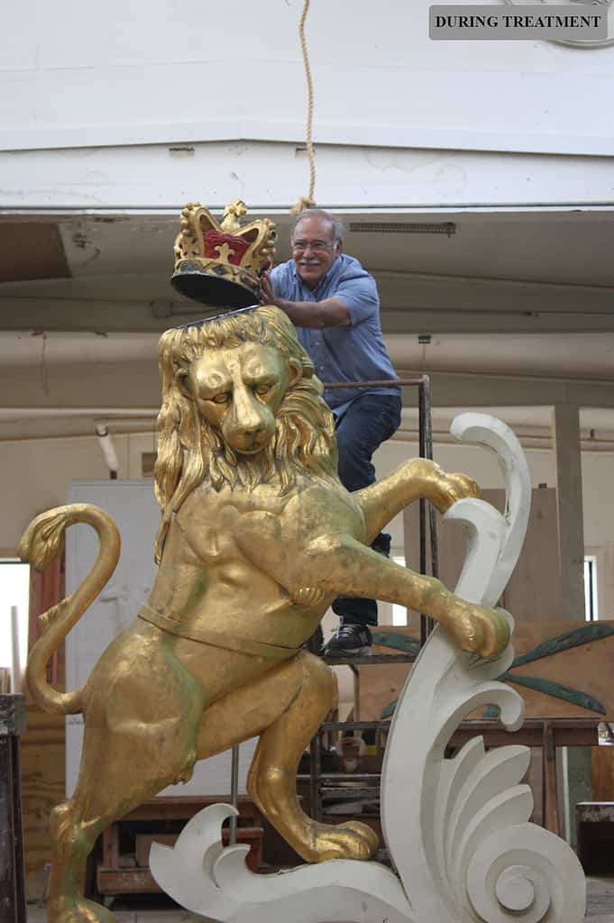 web-Lion-DT-IMG_6028