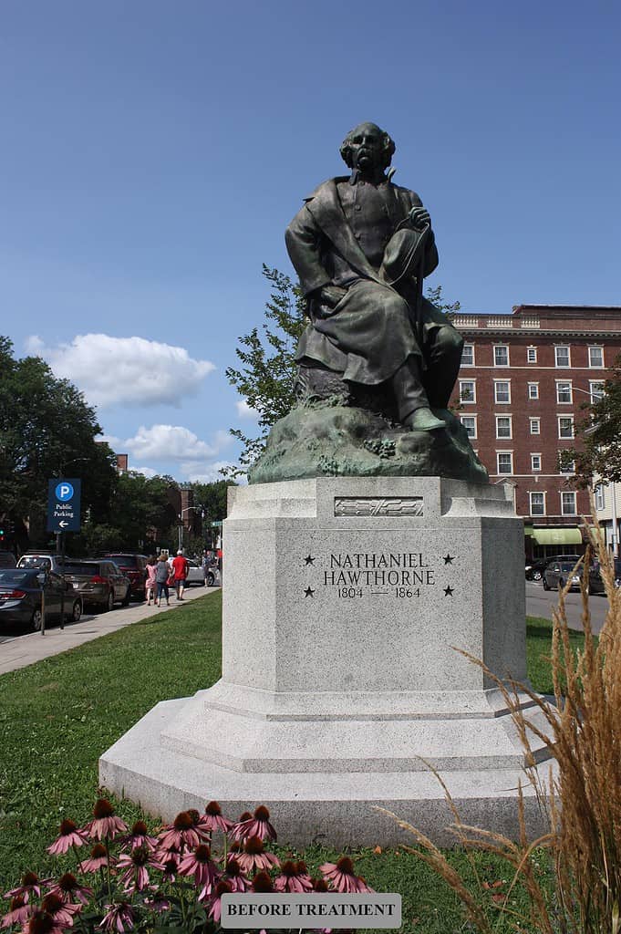 web-Hawthorne-BT-IMG_0373